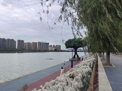 -咸阳湖景区