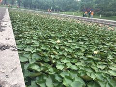 -尚贤河湿地