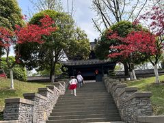 -重庆园博园