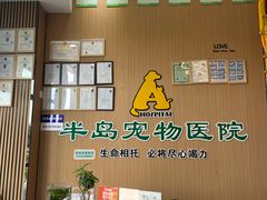 -半岛宠物医院24小时·内窥镜·牙科·碎石中心(府城大道店)