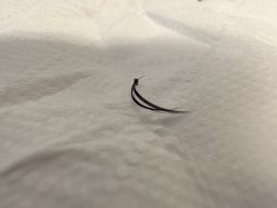-1R日式轻奢美睫美甲翘睫