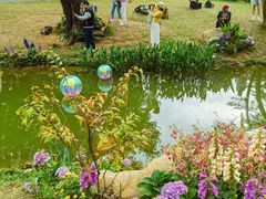 -人民公园(罗湖区)