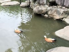 -呀诺达热带雨林