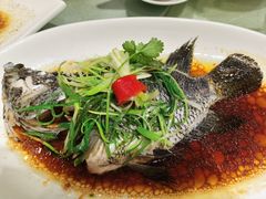 清蒸花斑-鹅公村·国家非遗传承(荔湾店)