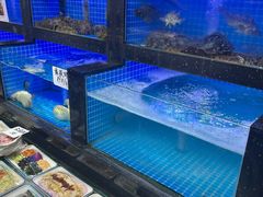 -小海丁