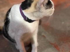 -芭提雅Amporn Seafood自助餐厅