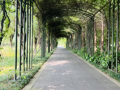 -苏州太湖国家湿地公园