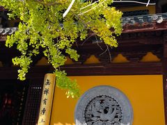 -龙华寺