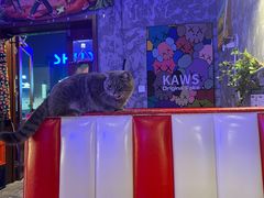 -VIKING SALOON西部美式烟熏烤肉(和平路店)