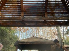 -春晖园度假酒店温泉