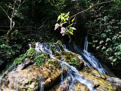 -华蓥山天意谷景区