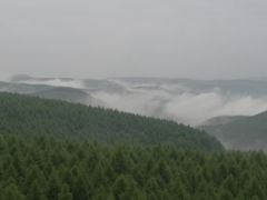 -塞罕坝国家级自然保护区