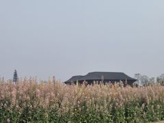 -中国天府农业博览园