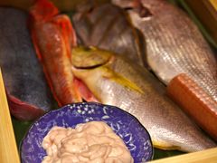 -镹·鱼料理  国产鱼使用店