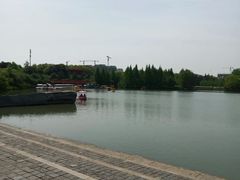 -青枫公园