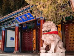 -张掖大佛寺景区