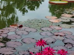 -国家植物园南园