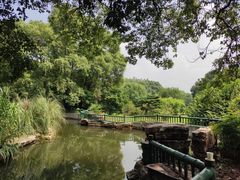 -东湖落雁景区