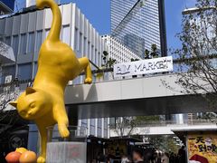 -深圳湾万象城(南山店)