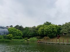 -大塘金香草谷