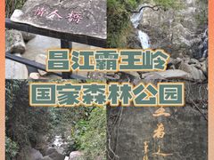 -海南霸王岭国家森林公园
