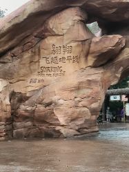 -翱翔飞越地平线