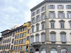 -圣母百花大教堂穹顶