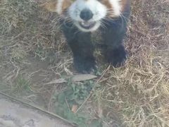 -昆明动物园
