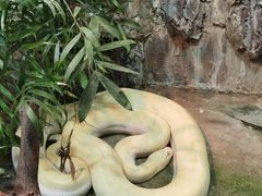 -上海大自然野生昆虫馆