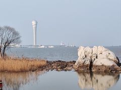 -上海吴淞炮台湾国家湿地公园