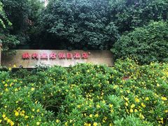 -成都保利公园皇冠假日酒店(熊猫基地店)