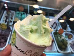 青柠鸡尾酒-柠檬车露(卖草地店)
