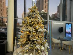 -上海德星奔驰(江杨南路店)