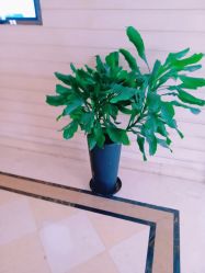 -安琪儿妇产医院·医养月子中心