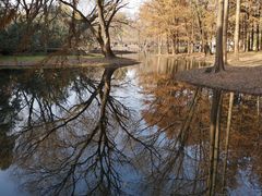 -上海共青森林公园