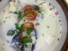 -全乐鱼馆·淳牌有机鱼直营店