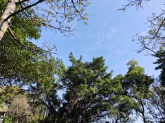 -广州市白云山风景名胜区