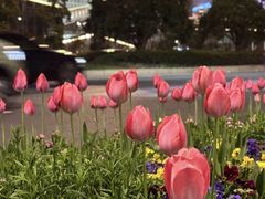 -杭州奥体中心-体育场