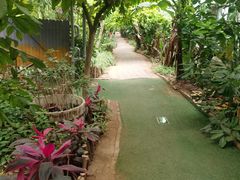 -呀路古热带植物园