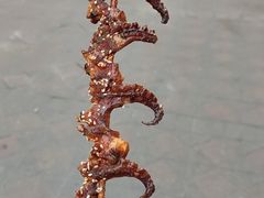-江大后街