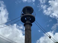 -奥兰多迪士尼动物王国乐园