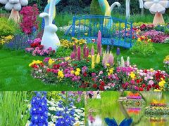 -上海共青森林公园