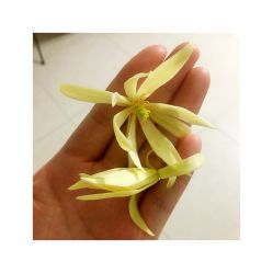 点击看大图 -iplus爱家高端孕妇摄影