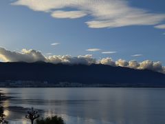 -野菌皇海景野生菌火锅(滨海大道店)