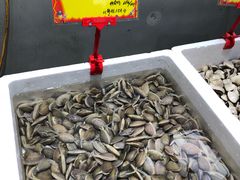 -蚝专家(北滘店)