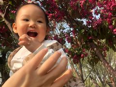 -长白岛森林公园