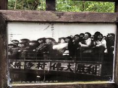 -东平国家森林公园