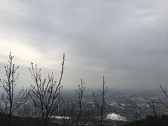 -杭州半山国家森林公园