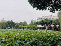 -西南交通大学(九里校区)