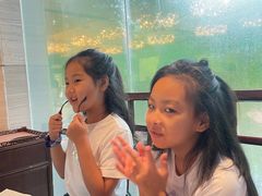 -侨美·唐荔园·40年地道粤菜